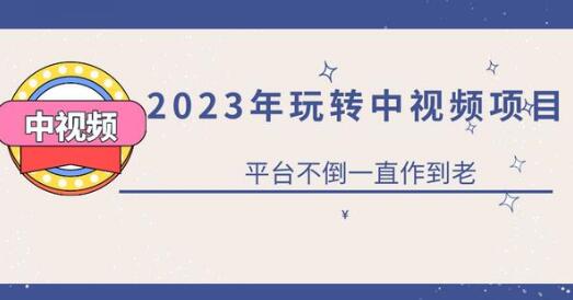 2023一心0基础玩转中视频项目:平台不倒,一直做到老-冒泡网