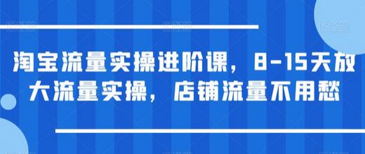 淘宝流量实操进阶课，8-15天放大流量实操，店铺流量不用愁-冒泡网