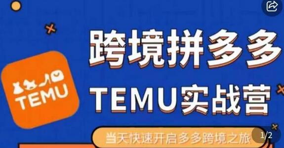 大鹏出海·拼多多跨境temu运营指导，开店注册+选品+核价上架，日出千单实战课-冒泡网