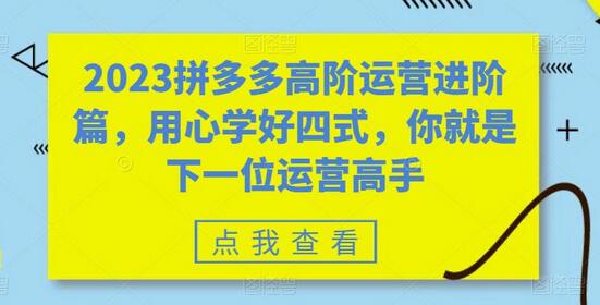 2023拼多多高阶运营进阶篇，用心学好四式，你就是下一位运营高手-冒泡网
