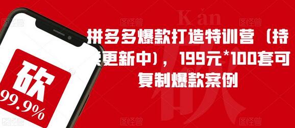 拼多多爆款打造特训营（持续更新中)，199元*100套可复制爆款案例-冒泡网