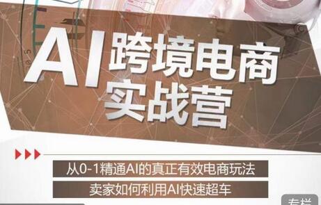 白龙老师·AI跨境电商实战营：从0-1精通Al的真正有效电商玩法，卖家如何利用Al快速超车-冒泡网