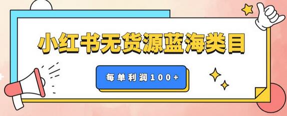 小红书无货源做蓝海类目【每单利润50-200+】，单月轻松过万-冒泡网