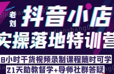 老刘·抖店商品卡流量，​抖音小店实操落地特训营，8小时干货视频录制课程随时可学-冒泡网