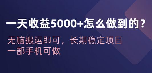 一天收益5000+怎么做到的?无脑搬运即可,长期稳定项目,一部手机可做-冒泡网