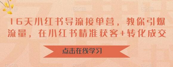 16天小红书导流接单营，教你引爆流量，在小红书精准获客+转化成交-冒泡网