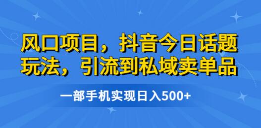 风口项目,抖音今日话题玩法,引流到私域卖单品,一部手机实现日入500+-冒泡网