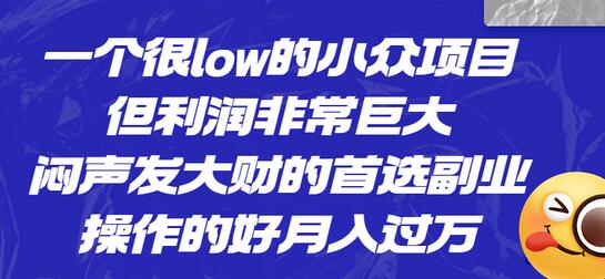 一个很low的小众项目,但利润非常巨大,闷声发大财的首选副业,月入过万-冒泡网