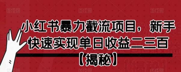 小红书暴力截流项目，新手快速实现单日收益二三百-冒泡网