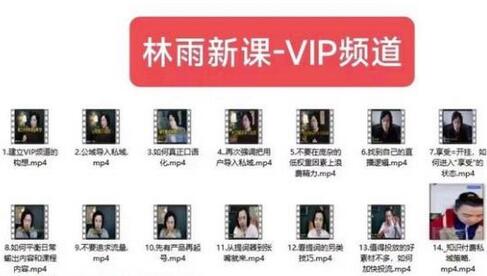 林雨新课VIP频道,玩赚私域/朋友圈/社群-冒泡网
