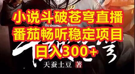 小说斗破苍穹直播,番茄畅听日入300+稳定项目-冒泡网