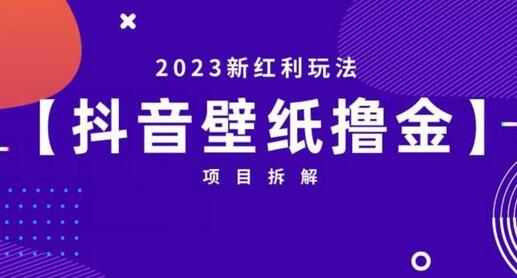 抖音壁纸小程序创作者撸金项目，2023新红利玩法-冒泡网