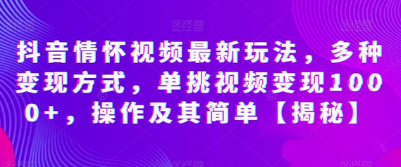 抖音情怀视频最新玩法，多种变现方式，单挑视频变现1000+，操作及其简单-冒泡网