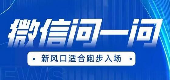全网首发微信问一问新风口变现项目（价值1999元）-冒泡网