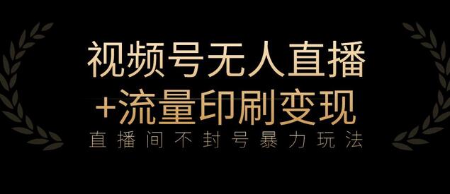 全网首发视频号不封号无人直播暴利玩法+流量印刷机变现,日入1000+-冒泡网