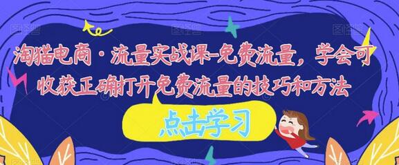淘猫电商·流量实战课-免费流量，学会可收获正确打开免费流量的技巧和方法-冒泡网