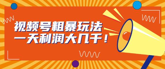视频号粗暴玩法,一天利润大几千!-冒泡网
