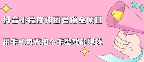 抖音小程序神图君撸金项目,用手机每天拍个手型挂载一下小程序就能赚钱-冒泡网