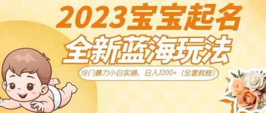 2023宝宝起名全新蓝海玩法，冷门暴力小白实操，日入1000+（全套教程）-冒泡网