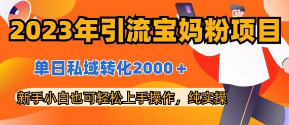 2023年引流宝妈粉项目，单日私域转化2000＋，新手小白也可轻松上手操作，纯实操-冒泡网