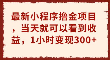 最新小程序撸金项目，当天就可以看到收益，1小时变现300+-冒泡网