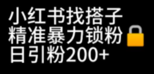 小红书找搭子暴力精准锁粉+引流日引200+精准粉-冒泡网