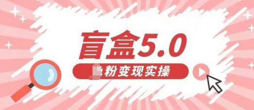 盲盒交友5.0,男粉变现实操项目,亲测变现效果极好-冒泡网