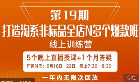 打造淘系非标全店N多个爆款线上课,5天直播课-冒泡网