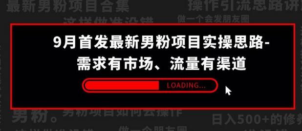 9月首发最新男粉项目实操思路-需求有市场,流量有渠道-冒泡网