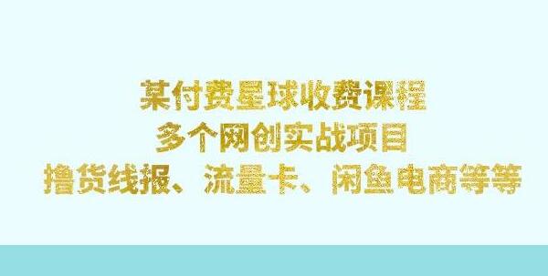 某付费星球课程：多个网创实战项目，撸货线报、流量卡、闲鱼电商等（文档非视频）-冒泡网