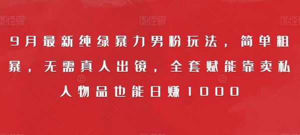 9月最新纯绿暴力男粉玩法,简单粗暴,无需真人出镜,全套赋能靠卖私人物品也能日赚1000-冒泡网
