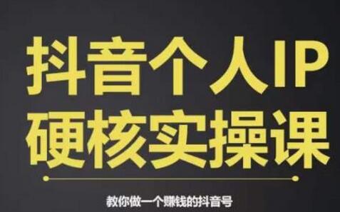 个人IP创富系统实战课，商业定位，流量打造，短视频变现，教你做个赚钱的抖音号-冒泡网