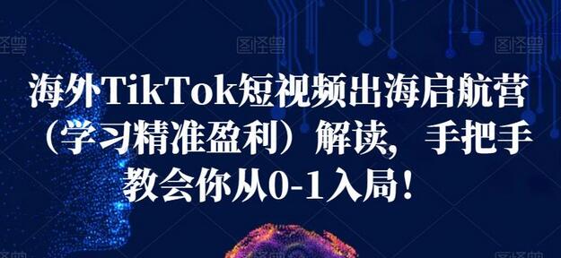 海外TikTok短视频出海启航营(学习精准盈利)解读,手把手教会你从0-1入局!-冒泡网