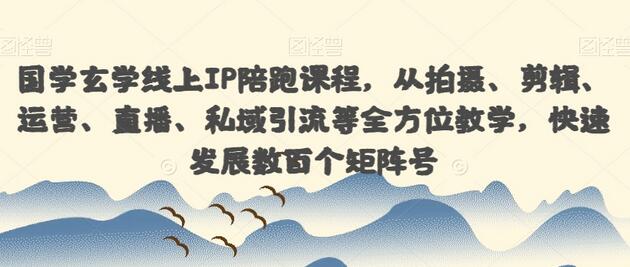 国学玄学线上IP陪跑课程，从拍摄、剪辑、运营、直播、私域引流等全方位教学，快速发展数百个矩阵号-冒泡网