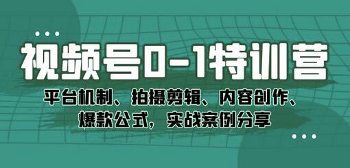 视频号0-1特训营:平台机制、拍摄剪辑、内容创作、爆款公式,实战案例分享-冒泡网
