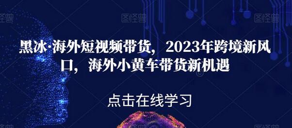 黑冰·海外短视频带货,2023年跨境新风口,海外小黄车带货新机遇-冒泡网