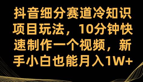 抖音细分赛道冷知识项目玩法，10分钟快速制作一个视频，新手小白也能月入1W+-冒泡网