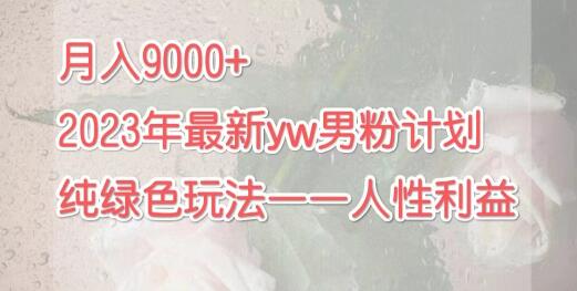 月入9000+2023年9月最新yw男粉计划绿色玩法——人性之利益-冒泡网
