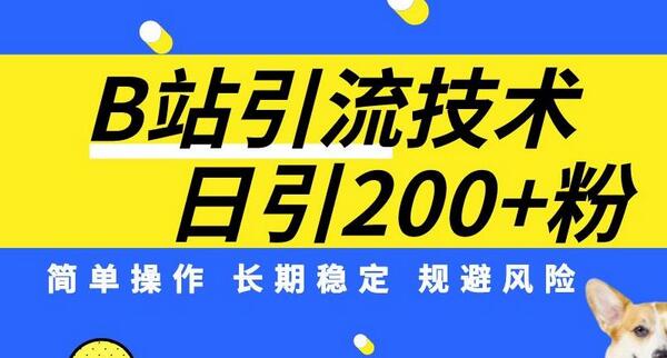 B站引流技术：每天引流200精准粉，简单操作，长期稳定，规避风险-冒泡网
