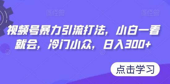 视频号暴力引流打法,小白一看就会,冷门小众,日入300+-冒泡网