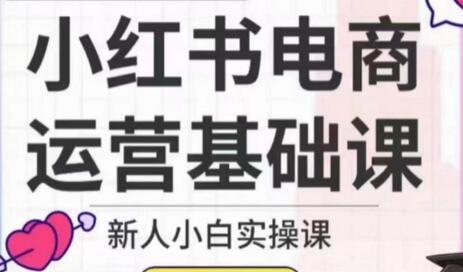 小红书电商运营基础课，新人小白实操课-冒泡网