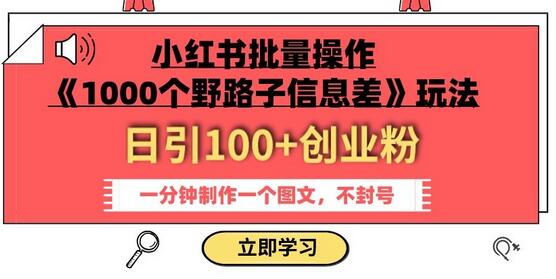 小红书批量操作《1000个野路子信息差》玩法，一分钟制作一个图文，不封号，日引100+创业粉-冒泡网