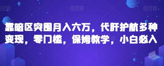 靠暗区突围月入六万,代肝护航多种变现,零门槛,保姆教学,小白必入-冒泡网