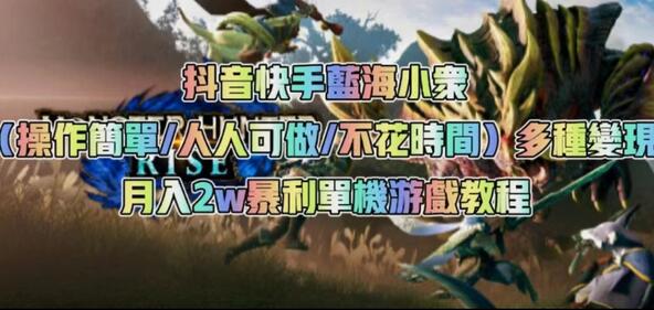 抖音快手蓝海小众（操作简单人人可做不花时间）多种变现月入2w＋暴利单机游戏教程-冒泡网