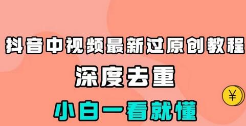 抖音中视频最新过原创教程,深度去重,小白一看就懂-冒泡网