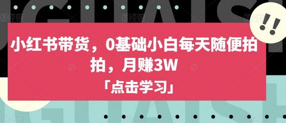 小红书带货,0基础小白每天随便拍拍,月赚3W-冒泡网