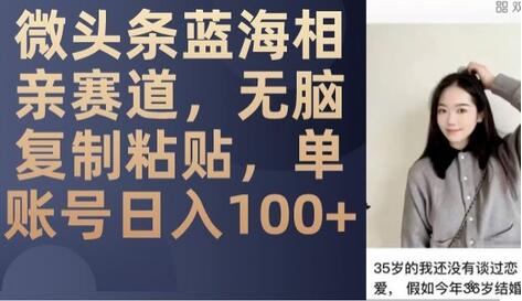 微头条蓝海相亲赛道，无脑复制粘贴，单账号日入100+-冒泡网