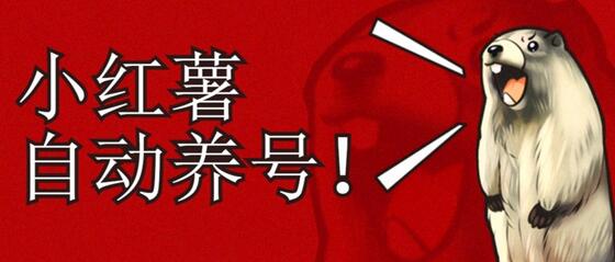 小红书养号秘籍,如何自动涨粉清晰系统标签打造高权重账号-冒泡网