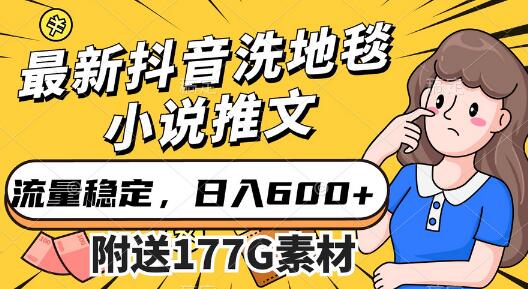 最新抖音洗地毯小说推文，流量稳定，一天收入600（附177G素材）-冒泡网