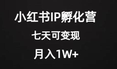 价值2000+的小红书IP孵化营项目,超级大蓝海,七天即可开始变现,稳定月入1W+-冒泡网